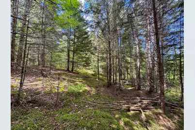 B Lookout Lane, Springfield, ME 04487 - Photo 20