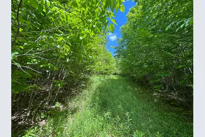 B Lookout Lane, Springfield, ME 04487 - Photo 10
