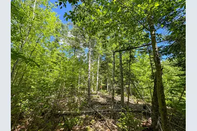 B Lookout Lane, Springfield, ME 04487 - Photo 16