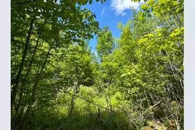 B Lookout Lane, Springfield, ME 04487 - Photo 28