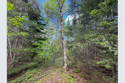 B Lookout Lane, Springfield, ME 04487 - Photo 18