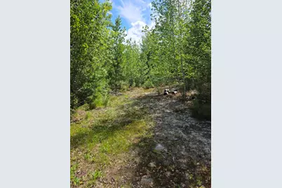 0 E Pleasant River Lake Road, Beddington, ME 04622 - Photo 2