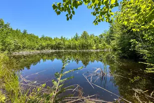 188 Nelson Dr, Waterford, ME 04088 - Photo 36