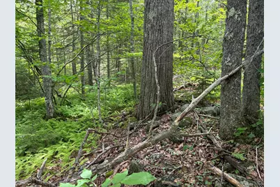 Lot #40 Route 17 (Augusta Road), Washington, ME 04574 - Photo 4
