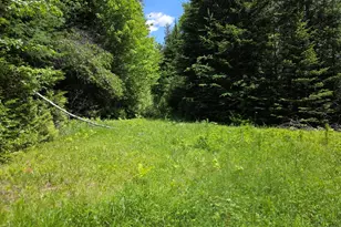 L 13 & 15 Bartlett Rd, Springfield, ME 04487 - Photo 12