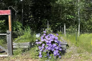 157 Durgin Rd, Paris, ME 04281 - Photo 30