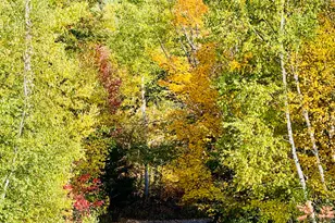 157 Durgin Rd, Paris, ME 04281 - Photo 50
