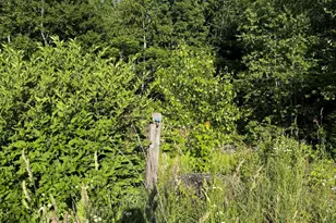 157 Durgin Rd, Paris, ME 04281 - Photo 32