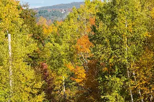 157 Durgin Rd, Paris, ME 04281 - Photo 46