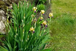 157 Durgin Rd, Paris, ME 04281 - Photo 6