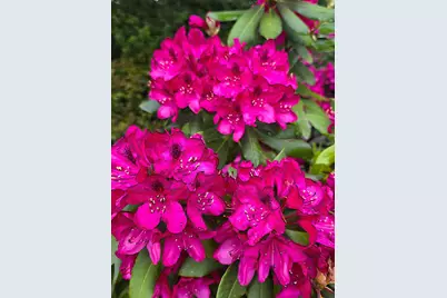 17 Mt Mount Kineo Road, Kennebunkport, ME 04046 - Photo 48