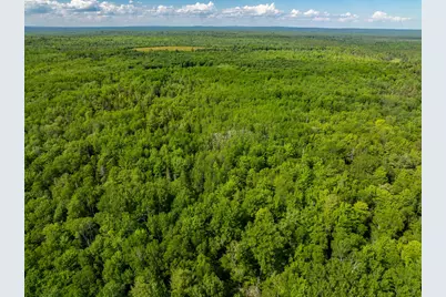 Lot #28 Station Road, Jonesboro, ME 04648 - Photo 6