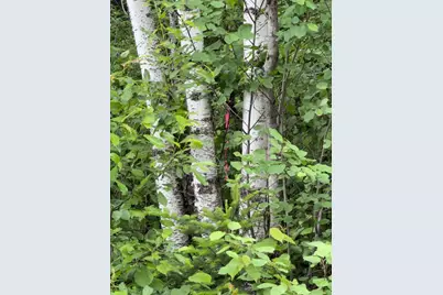 M3 L7-E Fowler Road, Woodland, ME 04736 - Photo 4