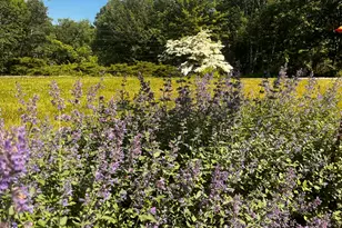 155 Lessner Rd, Damariscotta, ME 04543 - Photo 76