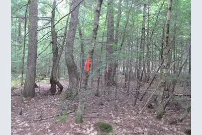 L27 Cummings Lane, Oxford, ME 04270 - Photo 10