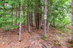 17 Loon Ln, Casco, ME 04015 - Photo 88