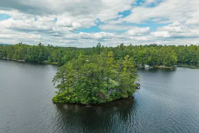 1 Custom House Island, Newfield, ME 04095 - Photo 40