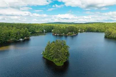 1 Custom House Island, Newfield, ME 04095 - Photo 36