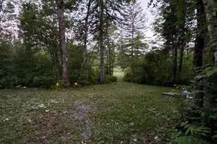 1356 Aroostook Rd, Wallagrass, ME 04781 - Photo 46