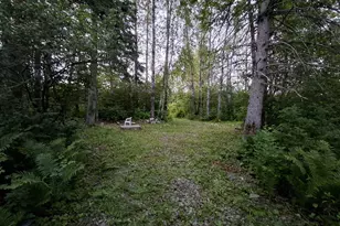 1356 Aroostook Rd, Wallagrass, ME 04781 - Photo 44