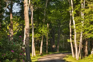 90 Cornfield Point Rd, Yarmouth, ME 04096 - Photo 50