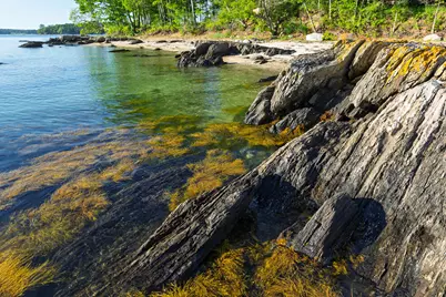 90 Cornfield Point Road, Yarmouth, ME 04096 - Photo 48