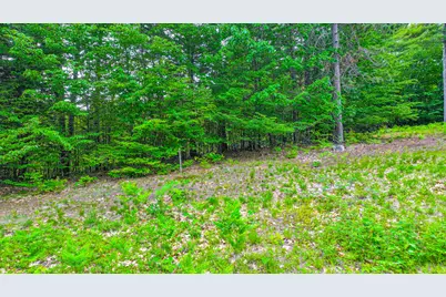 Lot 31C David Road, Waterford, ME 04088 - Photo 10