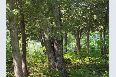 M4/Lot 2A Main Road, Greenbush, ME 04418 - Photo 8