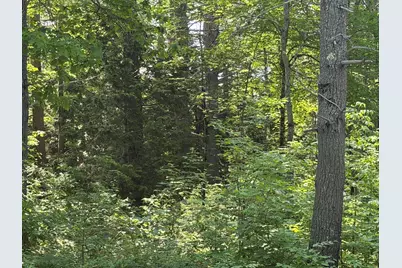 M4/Lot 2A Main Road, Greenbush, ME 04418 - Photo 6