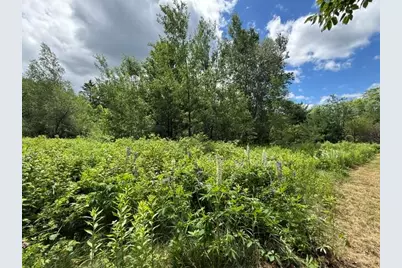 866 Main Street, Meddybemps, ME 04657 - Photo 100