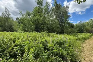 866 Main St, Meddybemps, ME 04657 - Photo 100
