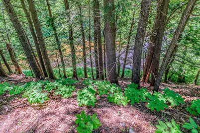 12 Taylor Road, Newry, ME 04261 - Photo 32