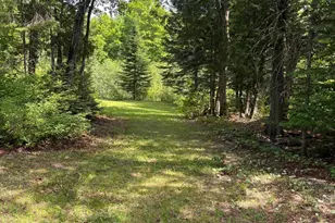 Lot 12 S South Branch Rd, Tc R2 Wels, ME 04735 - Photo 40