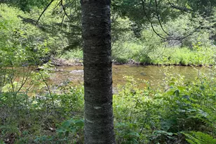 Lot 12 S South Branch Rd, Tc R2 Wels, ME 04735 - Photo 36