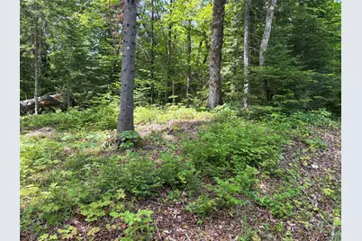 Lot 12 S South Branch Road, Tc R2 Wels, ME 04735 - Photo 38