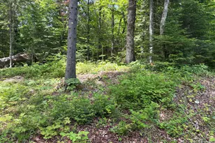Lot 12 S South Branch Rd, Tc R2 Wels, ME 04735 - Photo 38