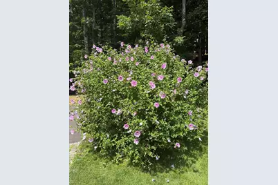 16 Brixham Road, Eliot, ME 03903 - Photo 148