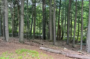 243 Collins Mills Rd, West Gardiner, ME 04345 - Photo 12
