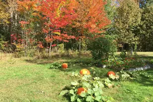 1341 Appleton Rd, Union, ME 04862 - Photo 22