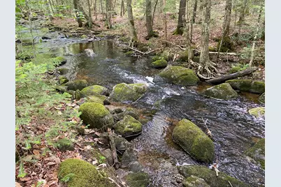 783 Half Township Road, Lincoln, ME 04457 - Photo 2