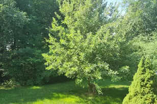 2 Dragonfly Dr, Scarborough, ME 04074 - Photo 34