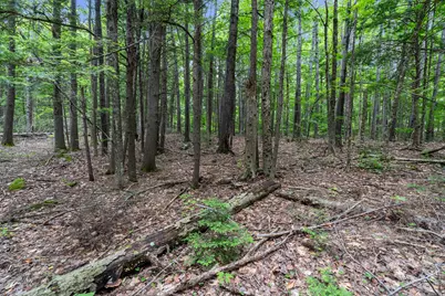 Lot 1-8 Watson Hill Road, Limerick, ME 04048 - Photo 20