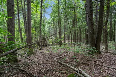Lot 1-8 Watson Hill Road, Limerick, ME 04048 - Photo 24