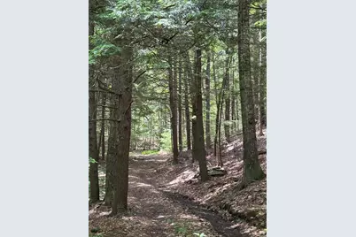 00 Brown Road, Liberty, ME 04949 - Photo 4