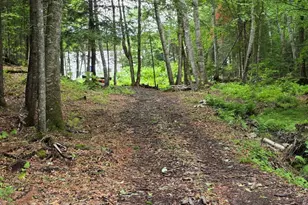 290 Allagash Rd, Greenville, ME 04441 - Photo 44