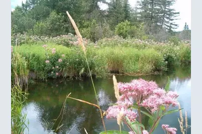 687 N Perley Brook Road, Fort Kent, ME 04743 - Photo 8