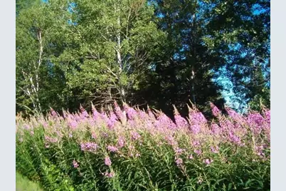 687 N Perley Brook Road, Fort Kent, ME 04743 - Photo 10