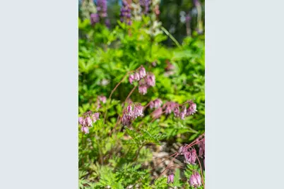 52 Oak Run Road, Westport, ME 04578 - Photo 158