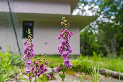 52 Oak Run Road, Westport, ME 04578 - Photo 154