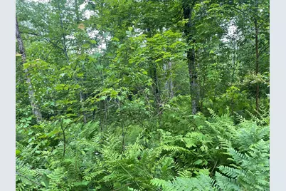 19 Swan Road, New Sharon, ME 04955 - Photo 100